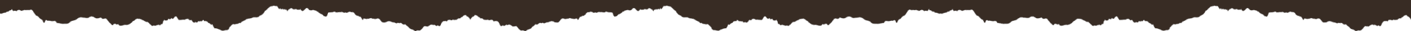 Header Divider