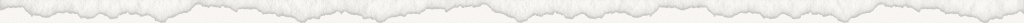 Newsletter divider