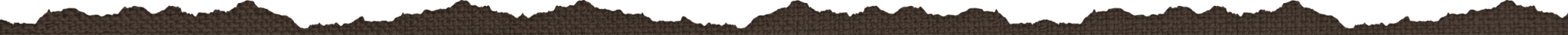 Header Divider 1
