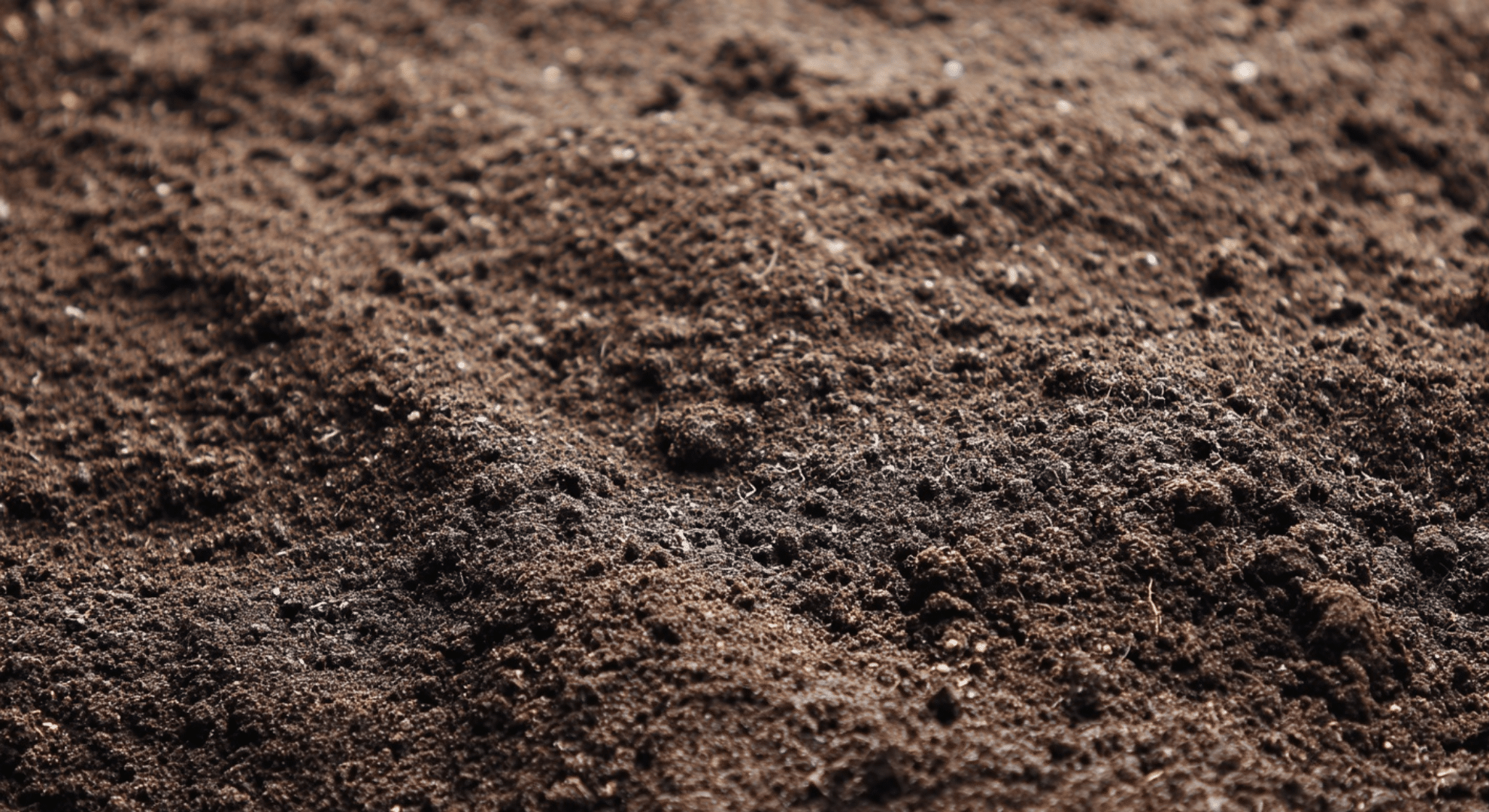 before seeding