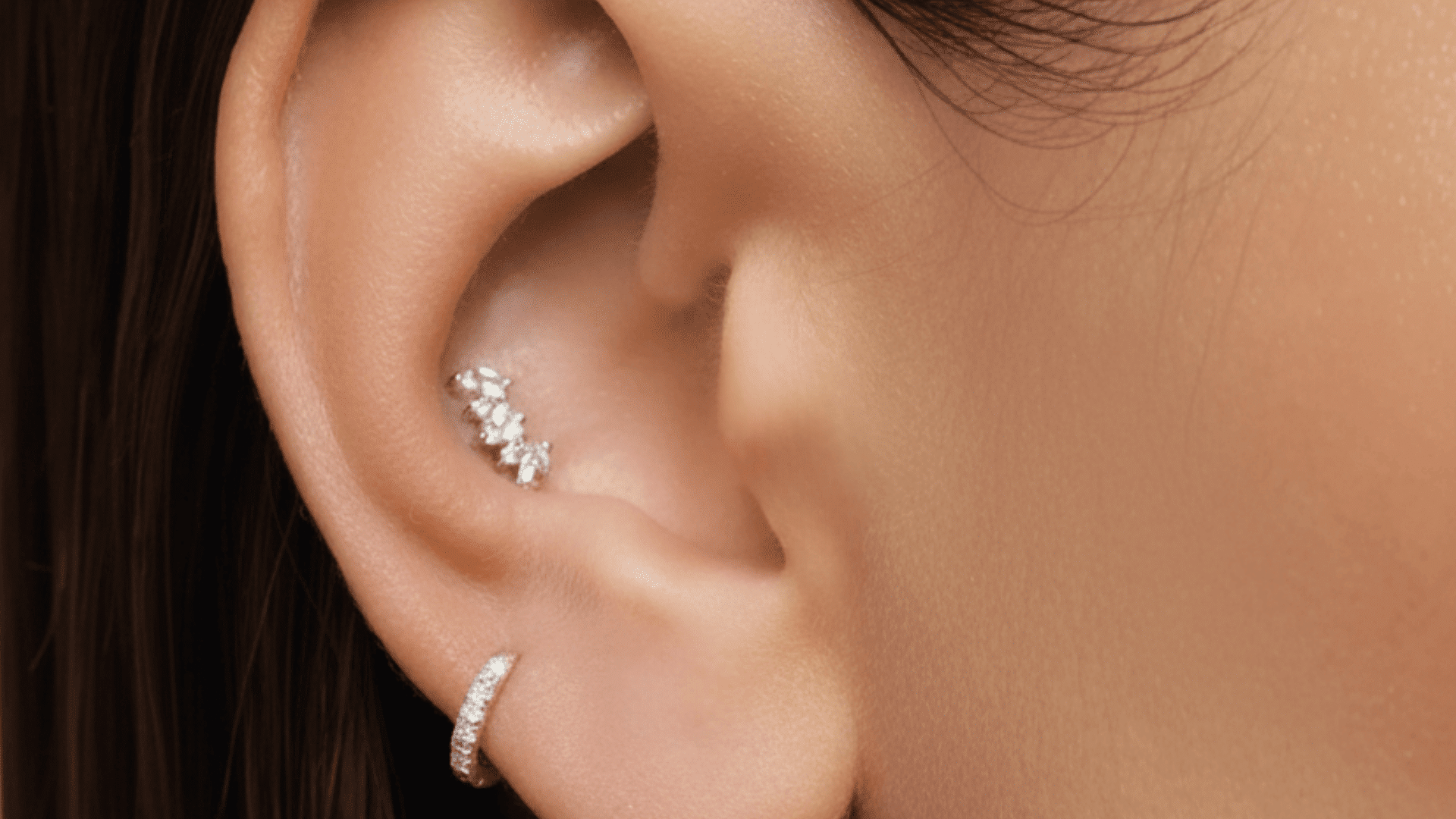 Conch