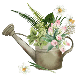 Gardening & Outdoor