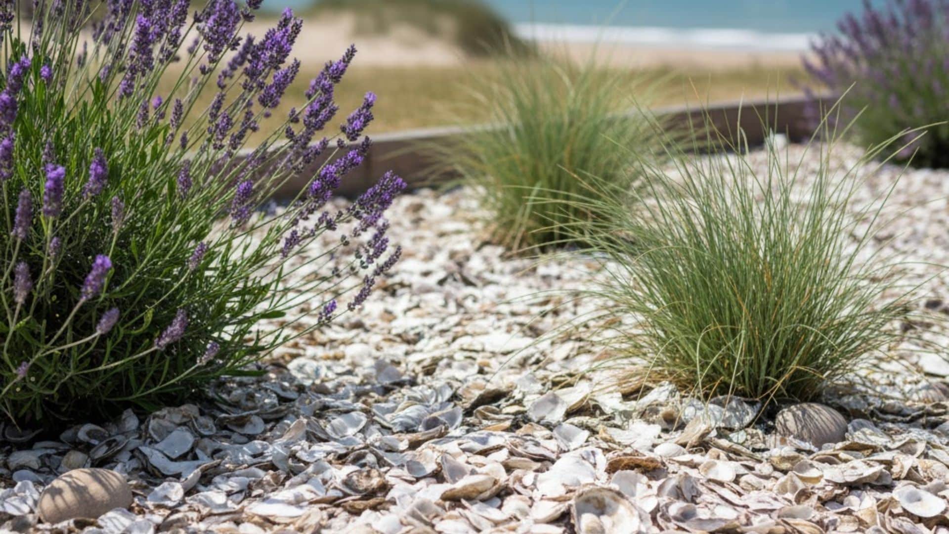 shell mulch