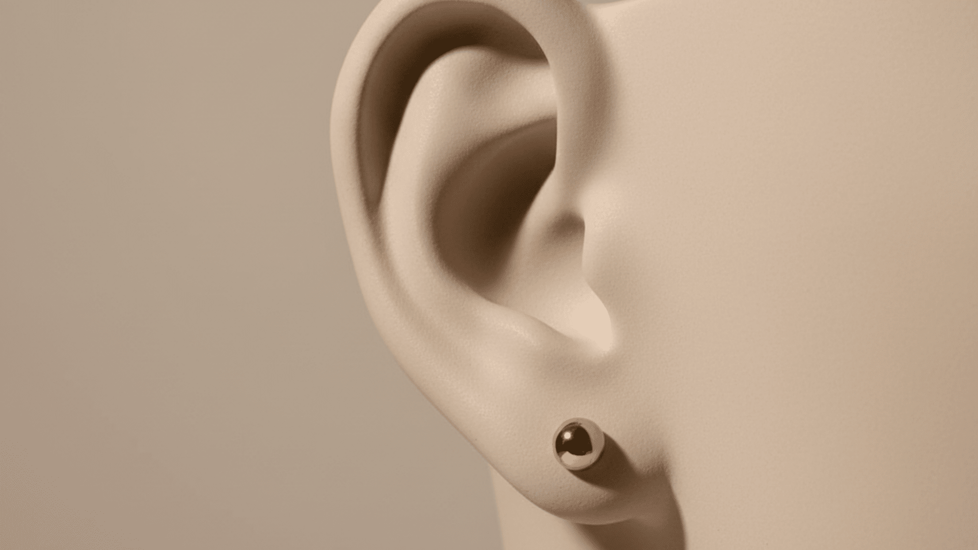 standard lobe