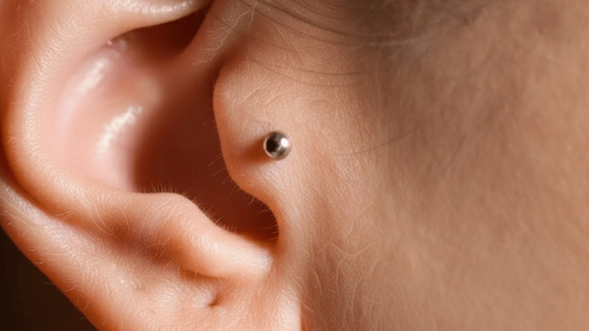 tragus piercing