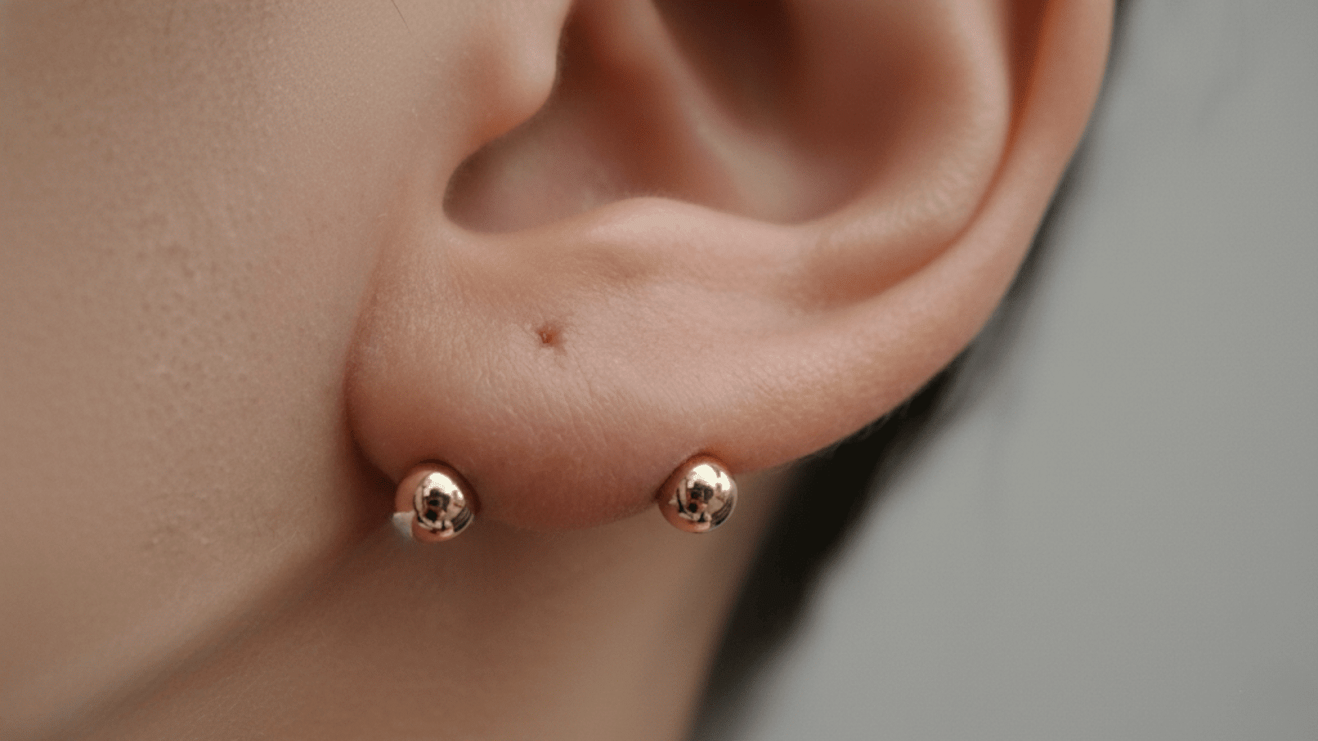 transverse lobe