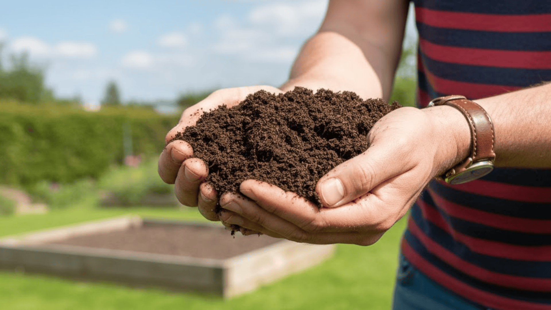 compost