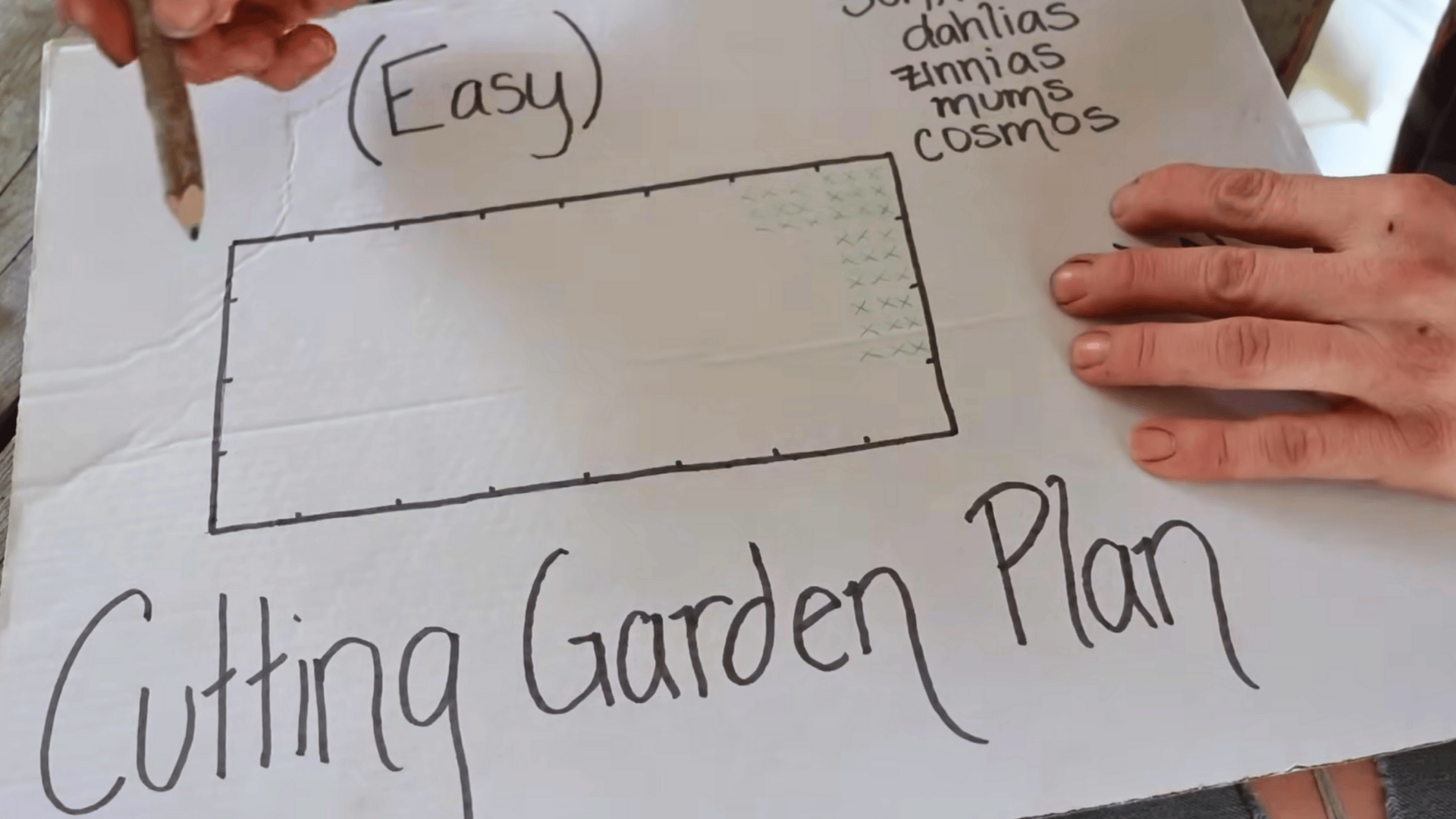 draw a simple grid and plan spacing