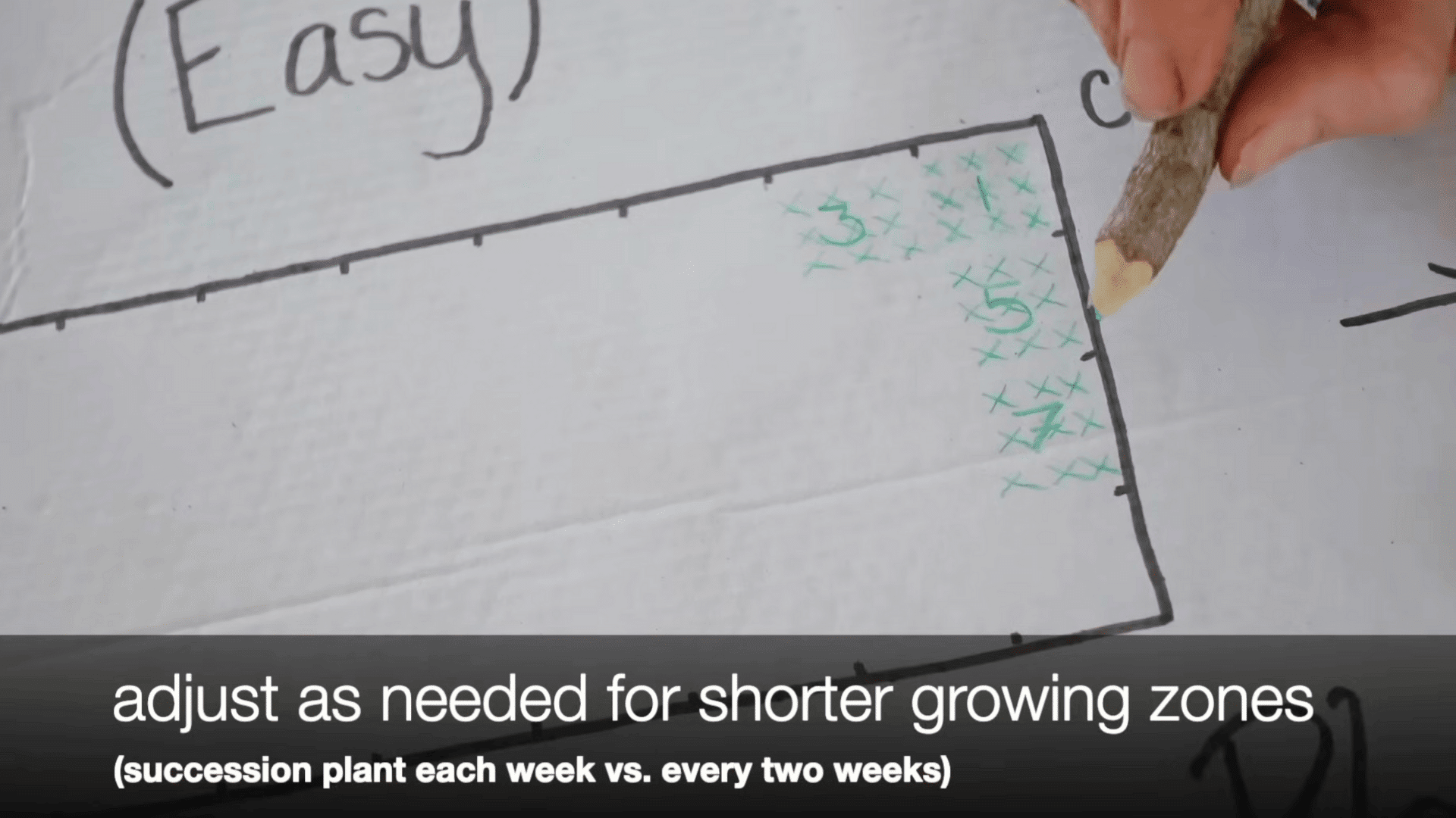 follow frost dates and succession planting