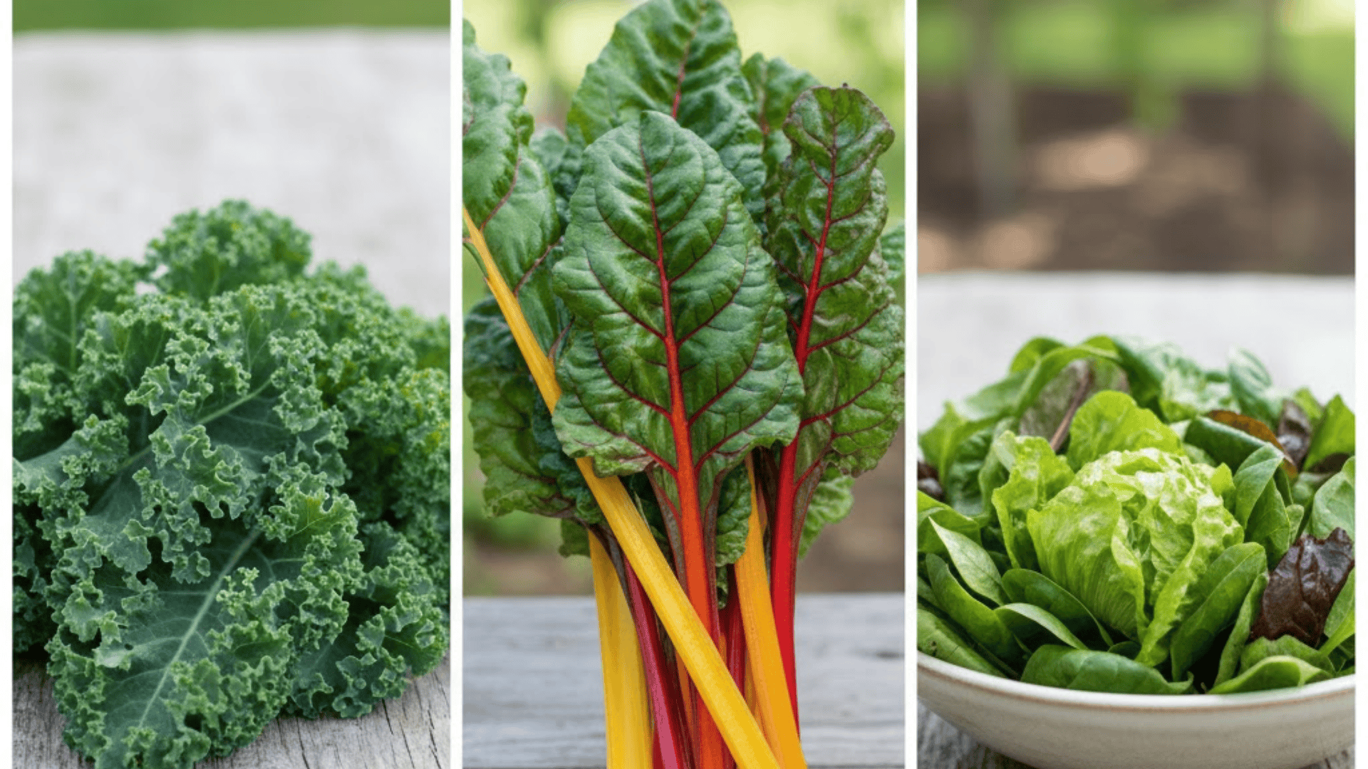 low maintenance leafy greens that keep producing