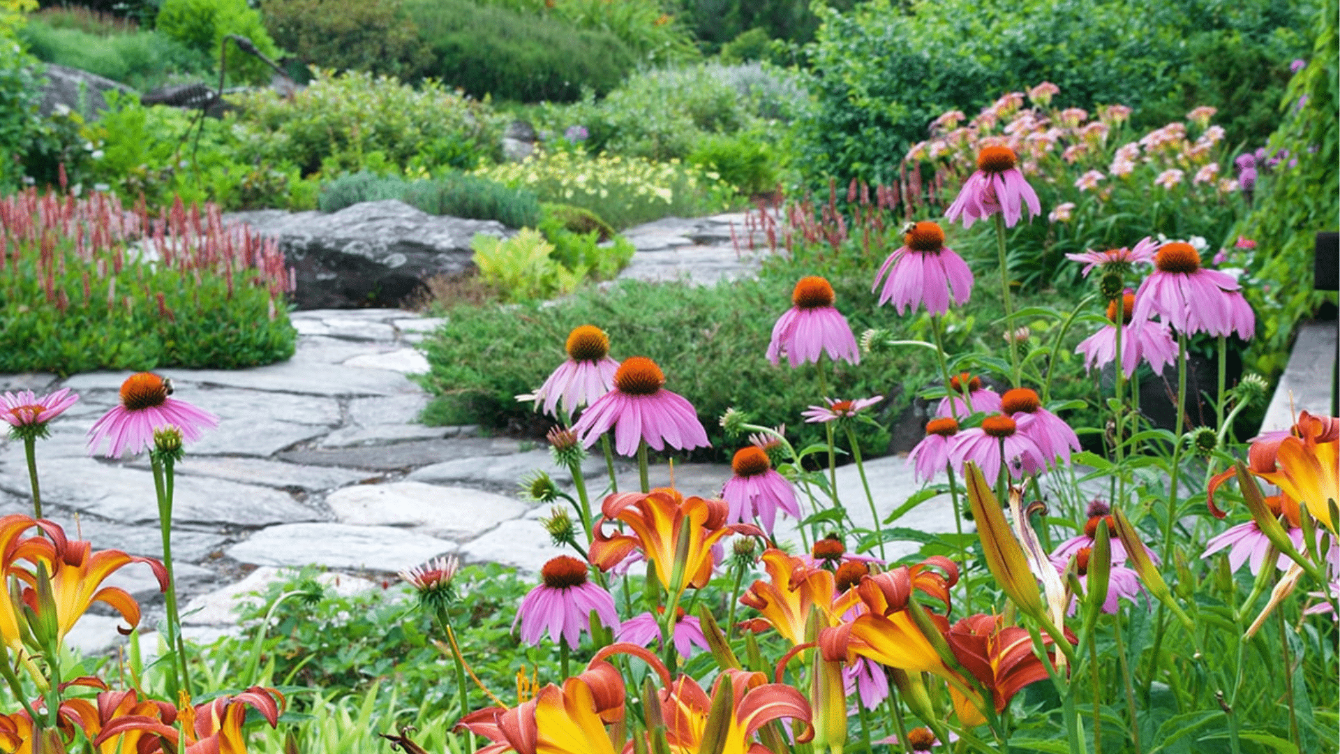 pollinator layout
