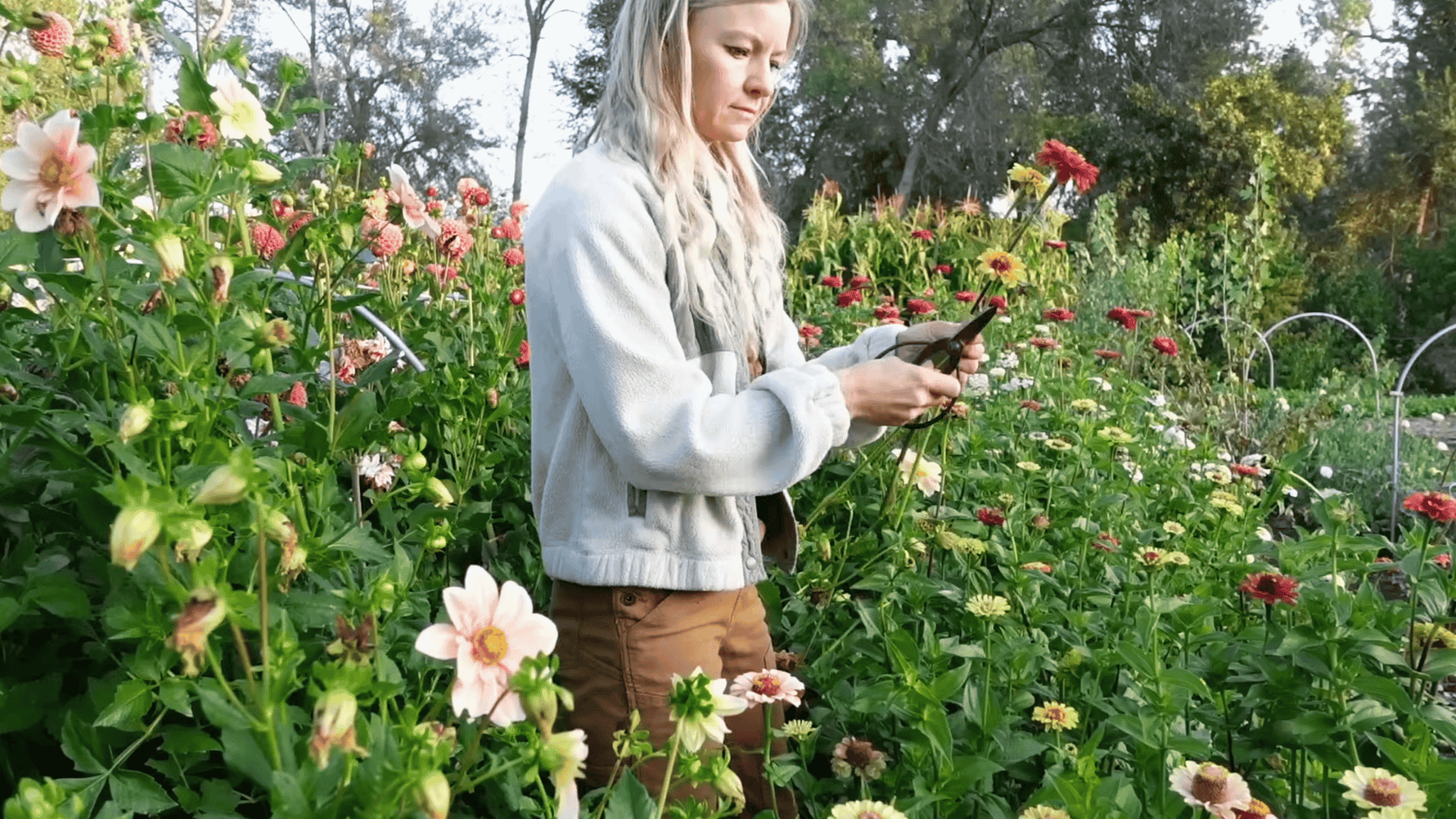 prepare soil seed carefully and manage water