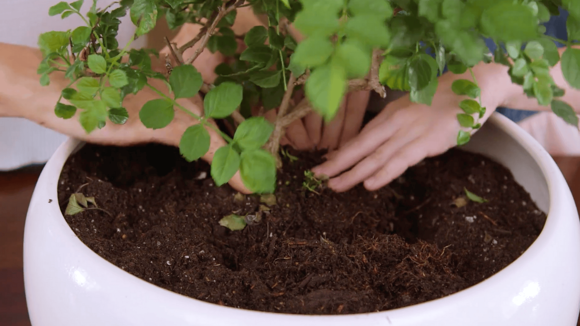 step 2 prepare your planter