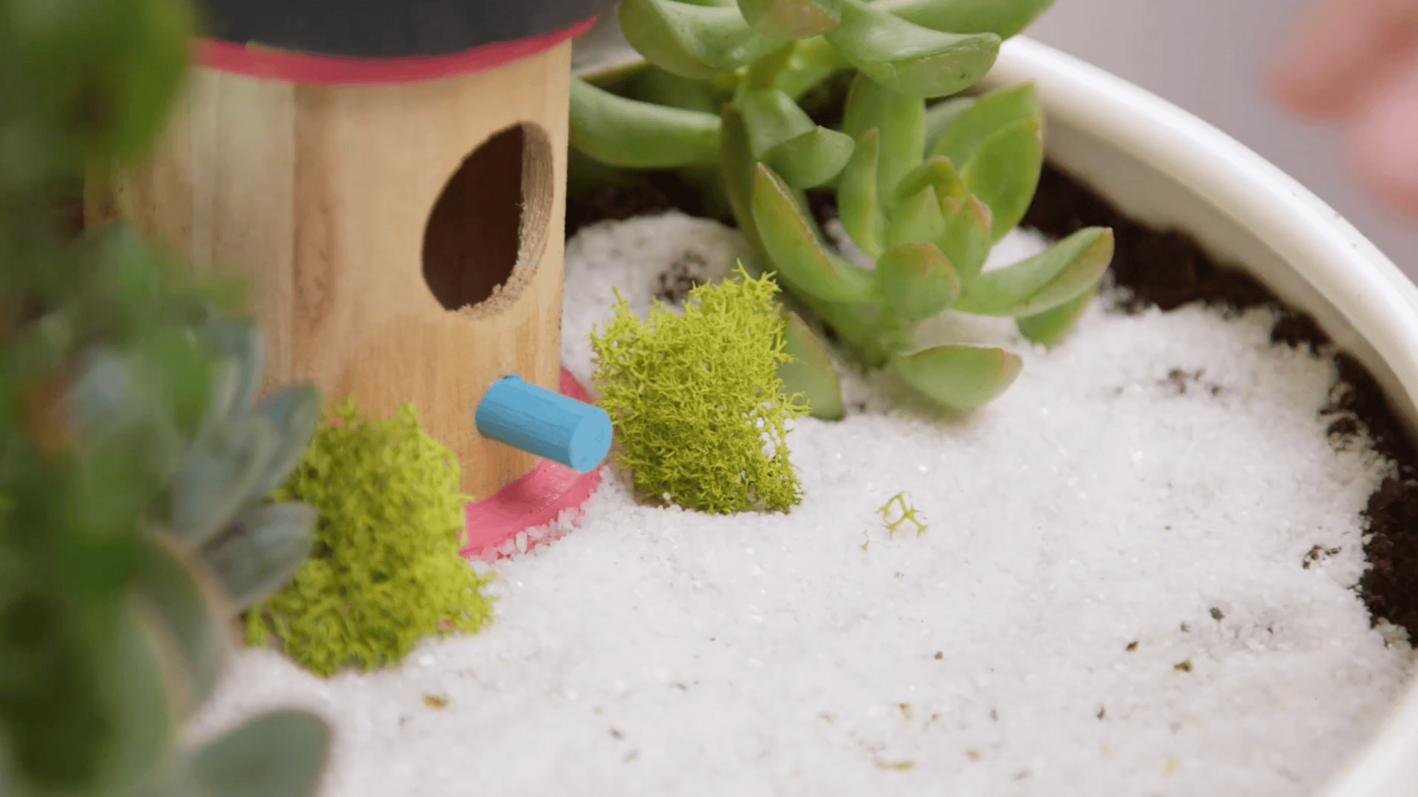 step 4 create your landscape