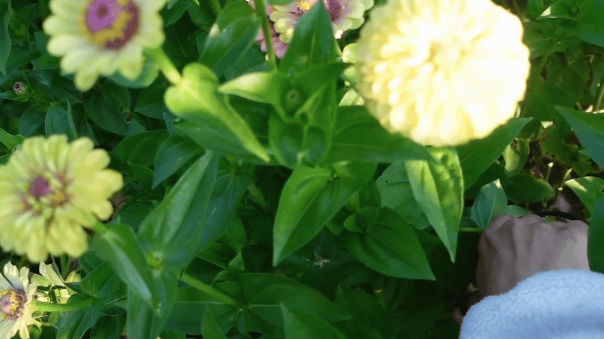 support harvest and keep the garden productive
