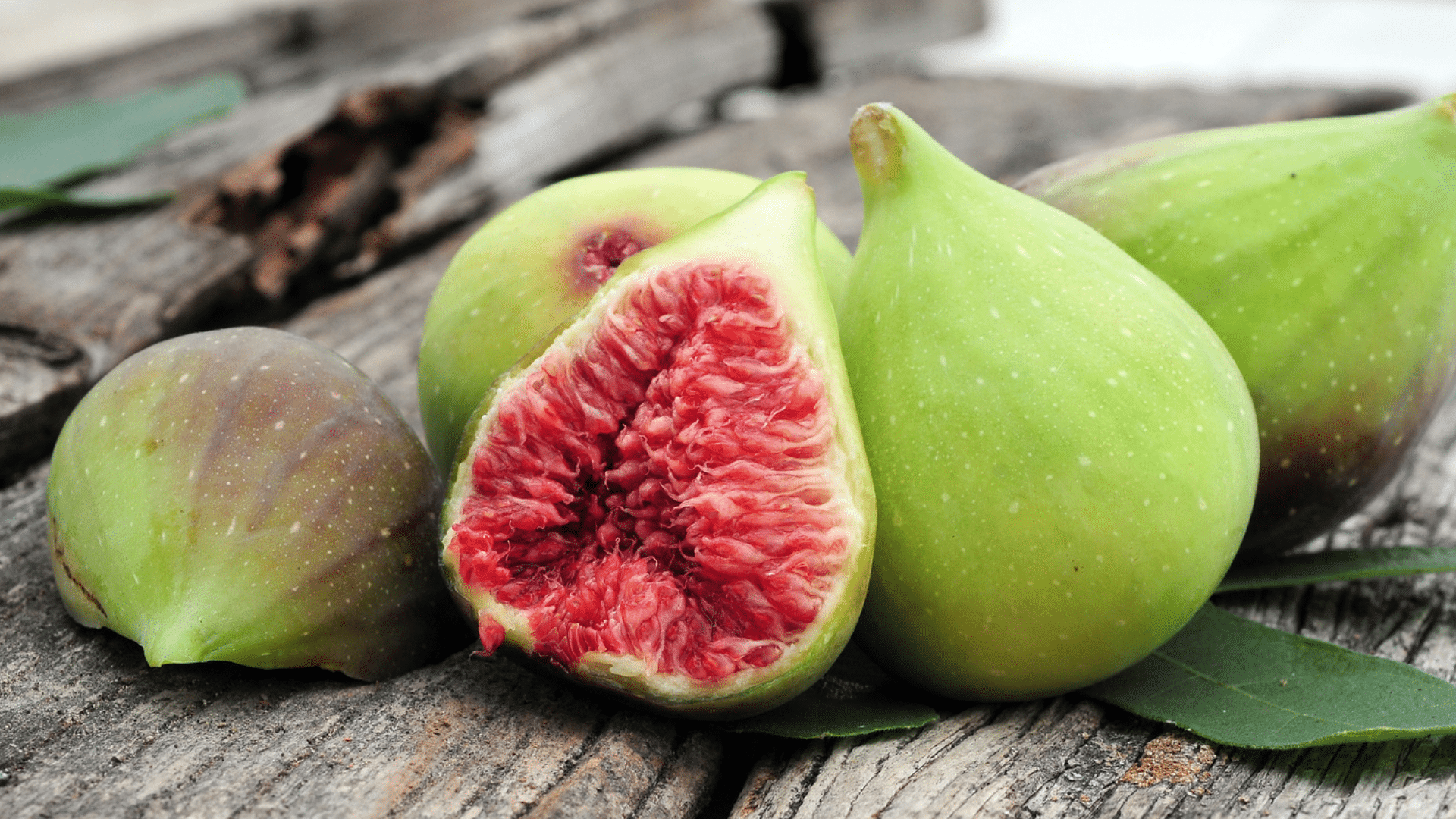 adriatic figs