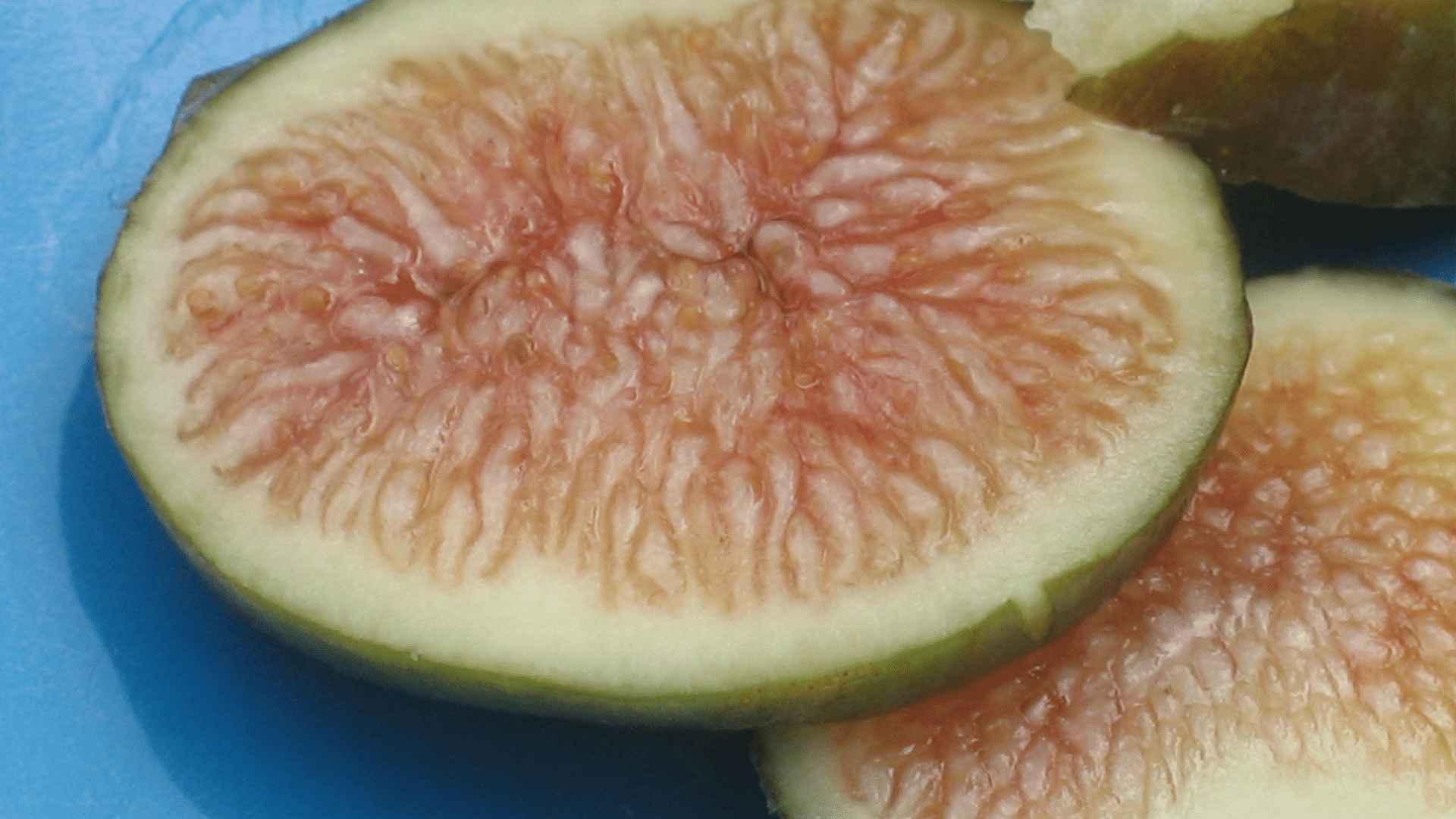 alma figs