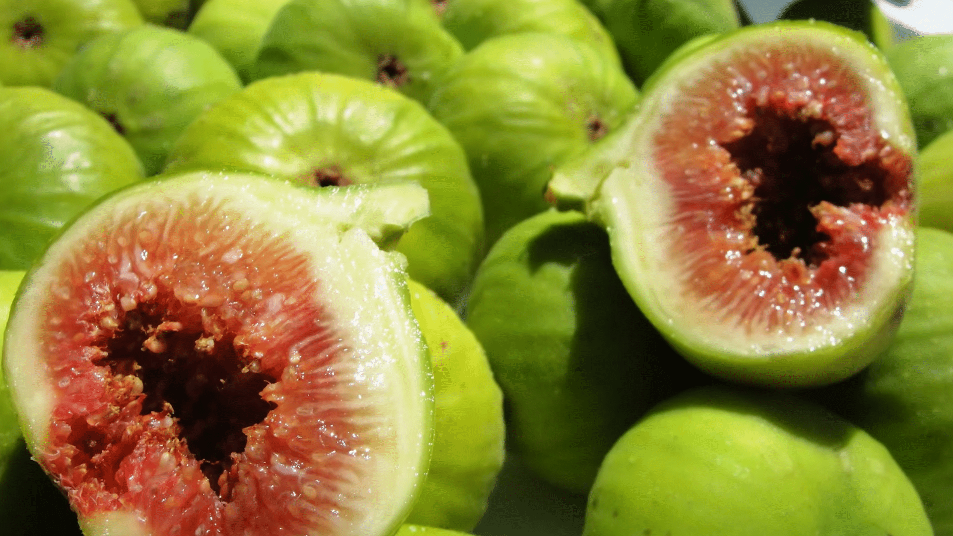 calimyrna figs