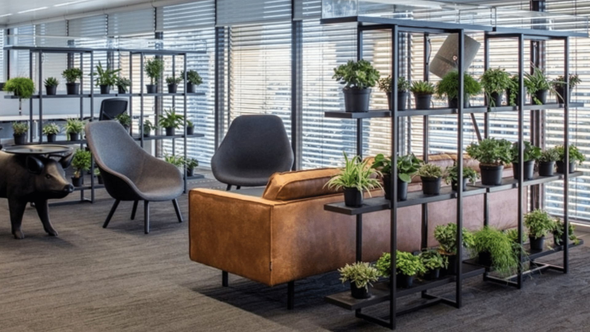 room divider