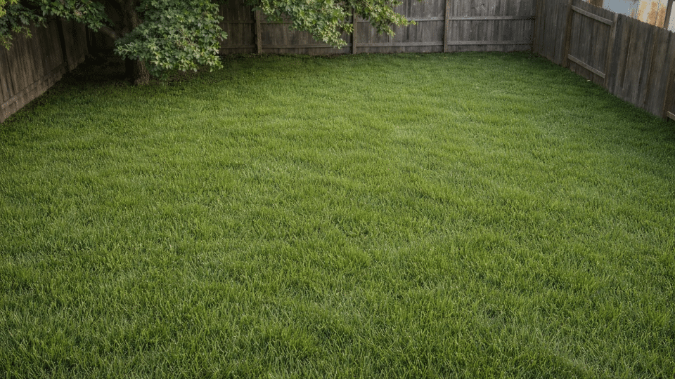 step first mow and what not to do