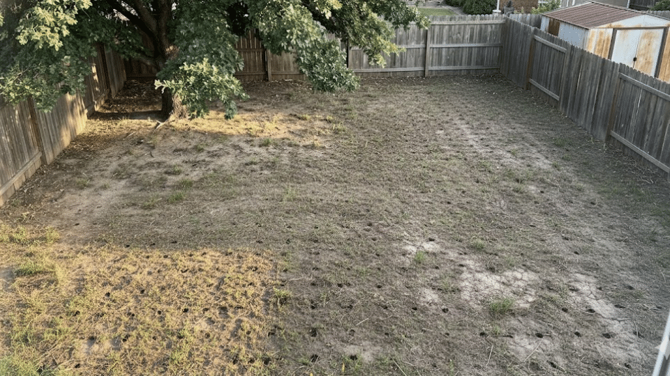 step prep the site for reseeding