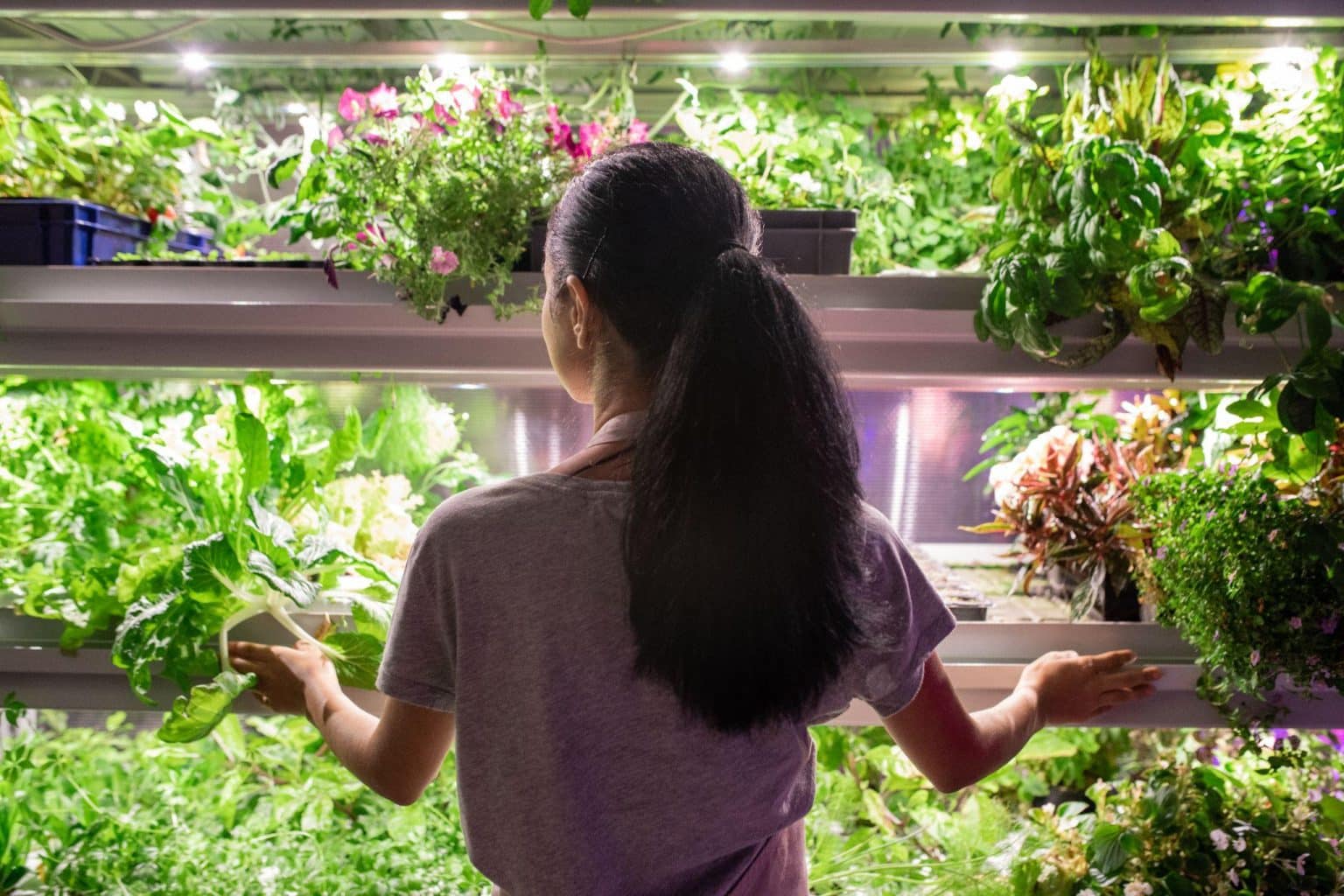 How to Set Up Lighting for Healthy Indoor Plant Growth - Stellas wardrobe