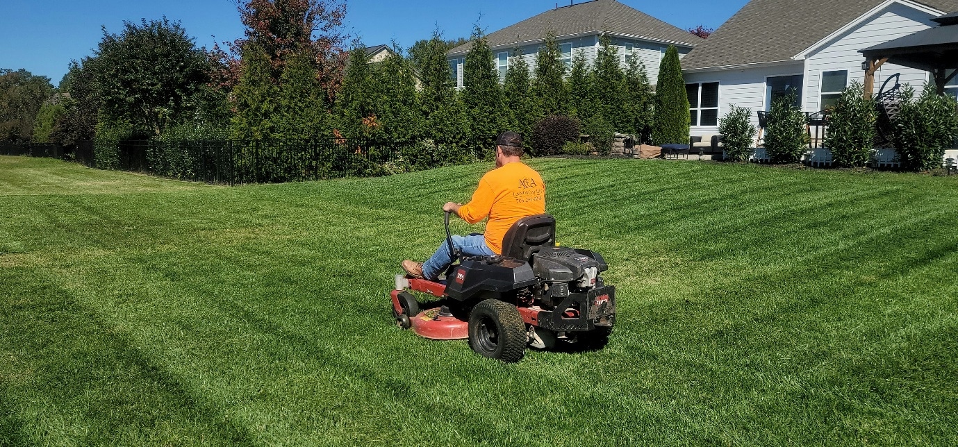 Managing Large Gardens Without Spending Every Weekend on Maintenance
