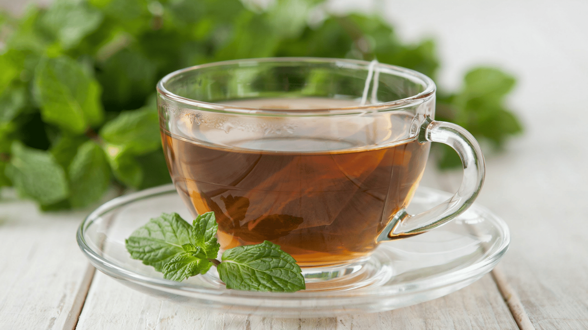 Green tea cup with mint leaves for natural face skin care and antioxidant support at home