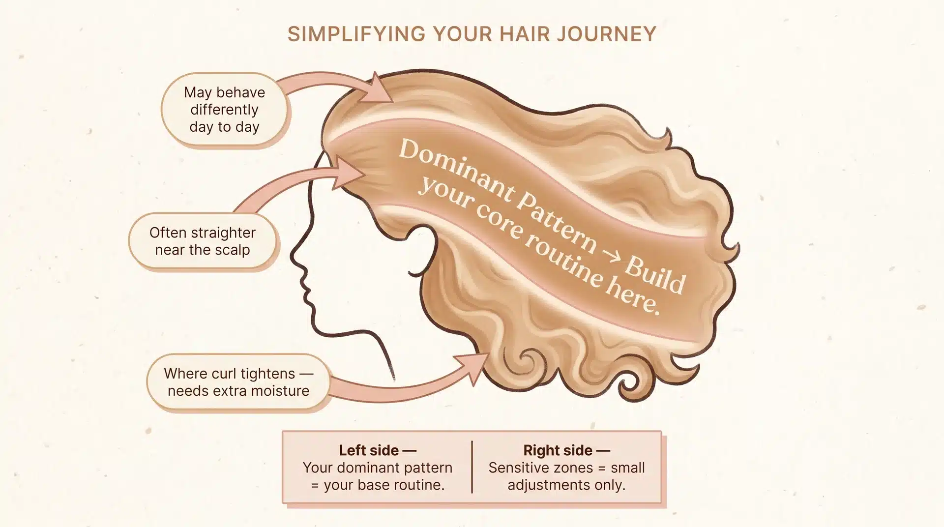 Hair diagram illustration showing mixed hair pattern zones — roots, crown, and ends — with callouts explaining how to identify dominant curl pattern and adjust routine for sensitive areas