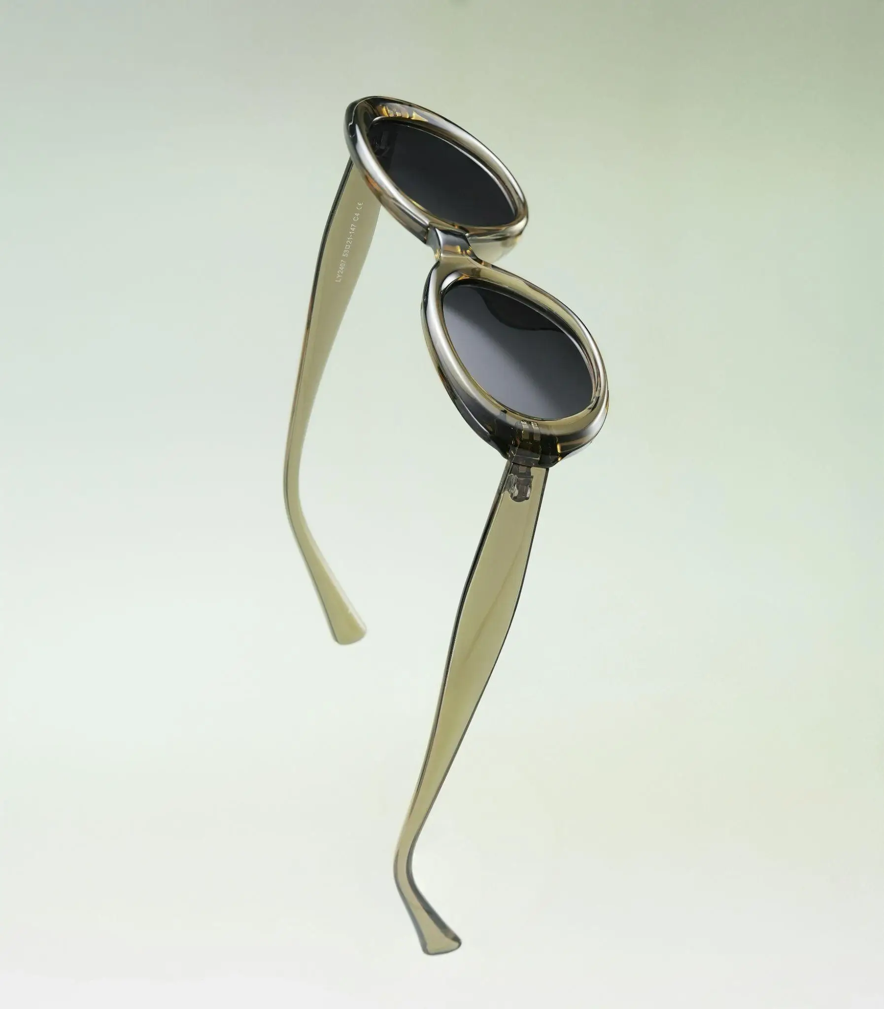 Round-lens sunglasses with dark frames on light green background