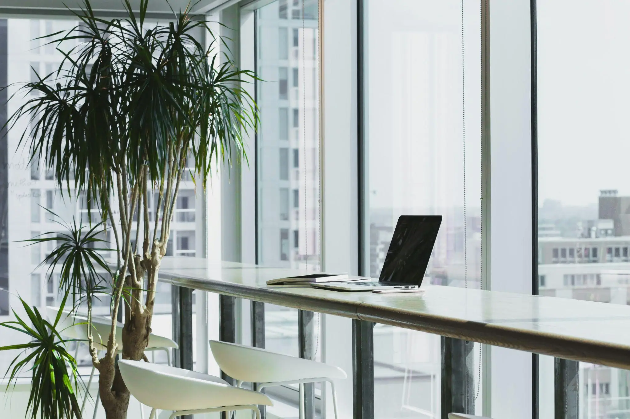 Laptop and notebook on long table beside indoor plant in modern office with large windows
