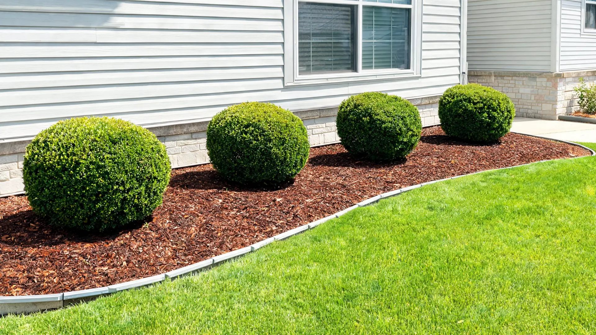 small shrubs in front yard foundation bed with mulch and clean edging low maintenance design