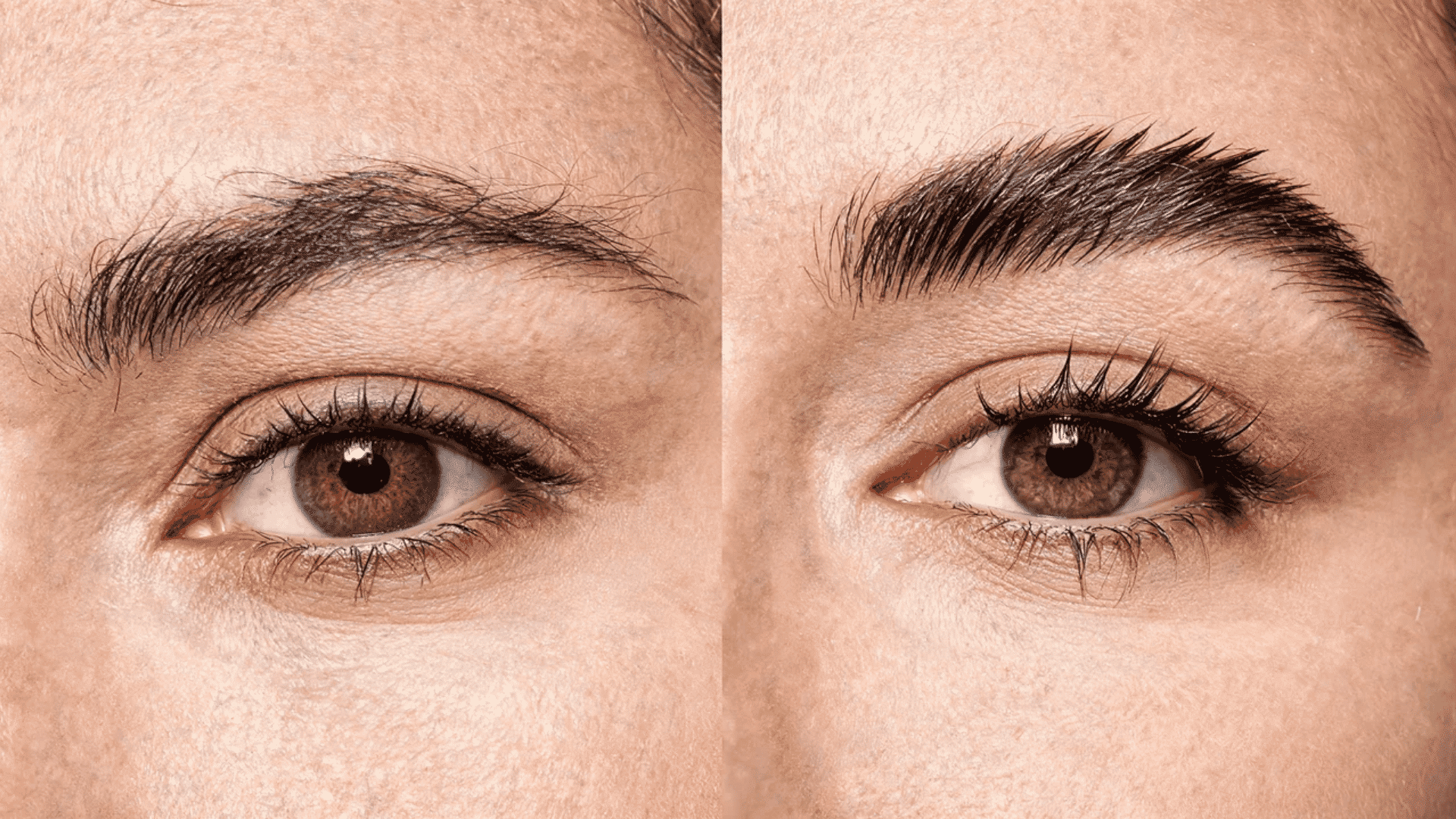 before and after brow lamination showing natural brows transformed into fuller lifted and neatly shaped brows.