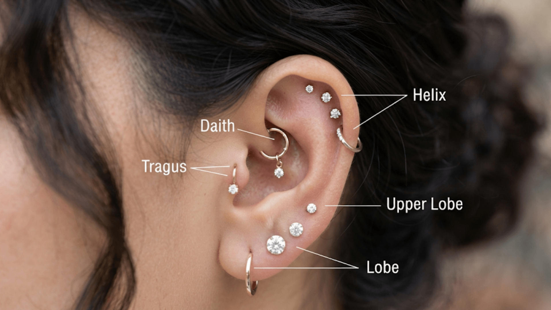 close up ear showing labeled helix daith tragus upper lobe and lobe piercings with silver jewelry