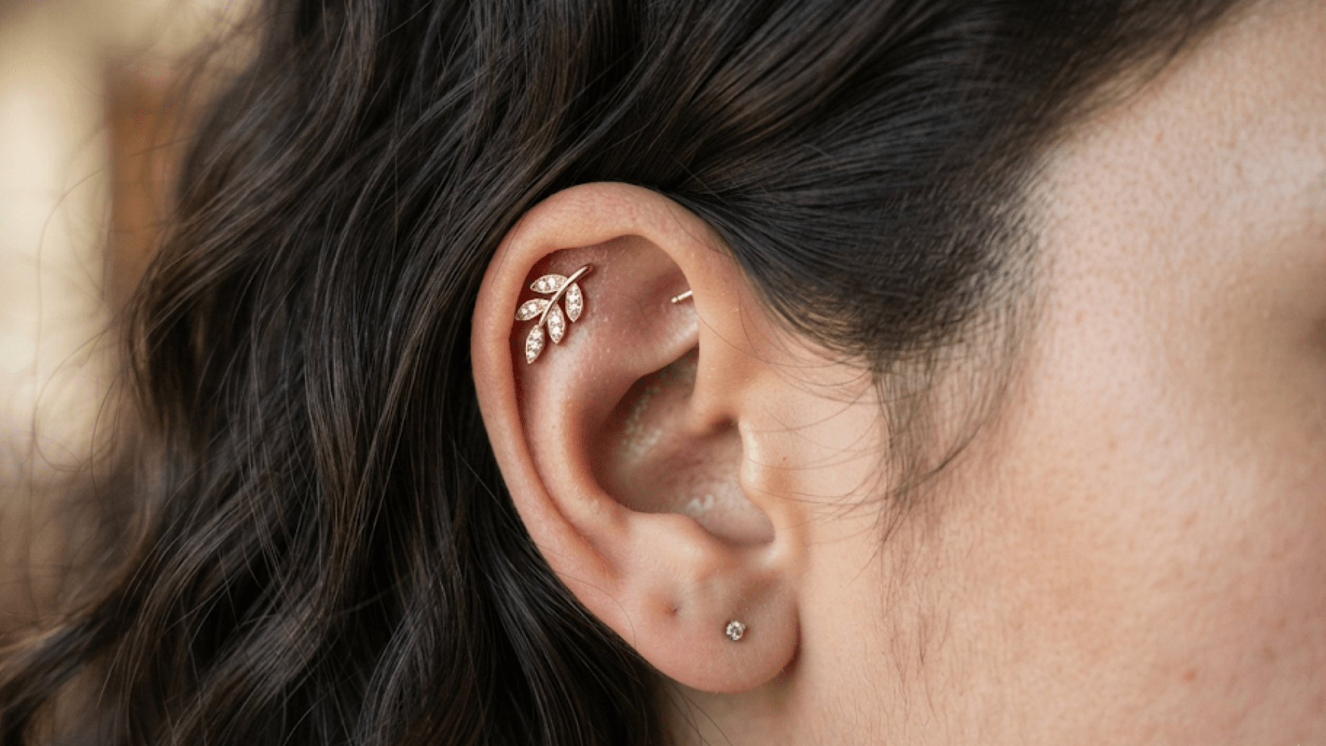close up ear with a gold leaf helix piercing and small stud earring against dark hair