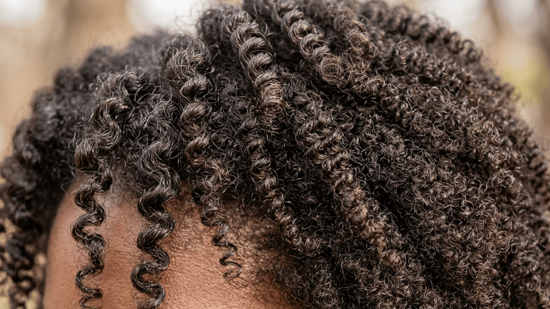 Close-up of tight, dark coily hair texture and curl pattern