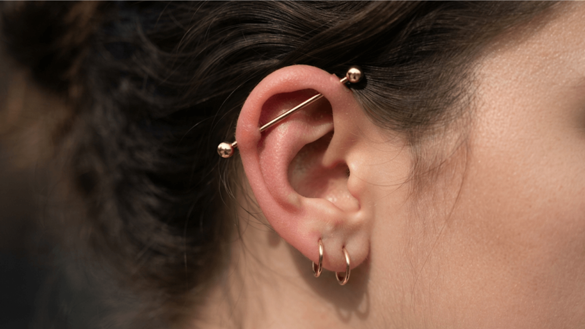 ear with industrial bar piercing across upper cartilage and two small gold hoop earrings on the lobe