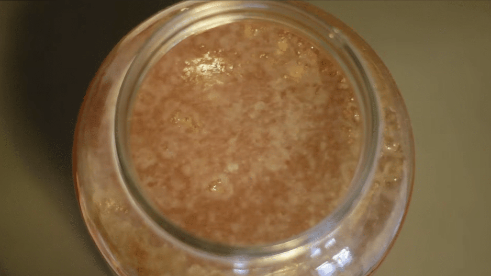 new scoby forming on the surface of kombucha as the tea ferments and the culture becomes active