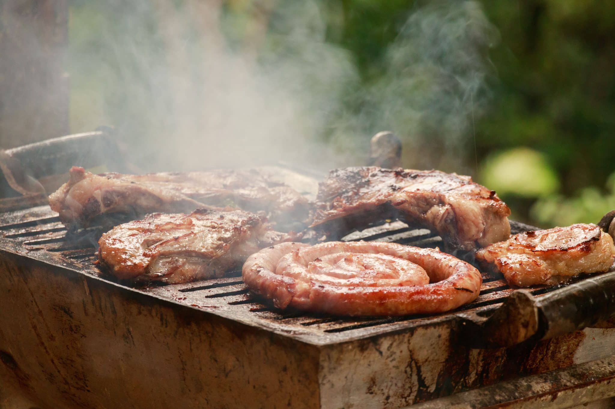 Meat Thermometer 101: A Beginner's Guide to Cooking Meat