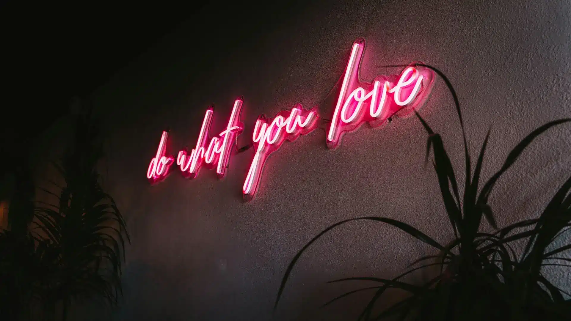 Pink neon sign reading "do what you love" on dark indoor wall with plants