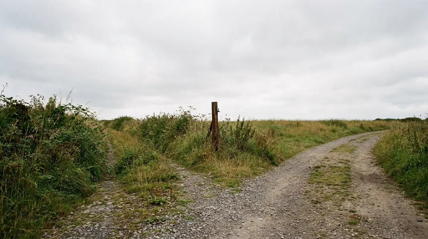 Diverging gravel paths in a grassy field under overcast sky