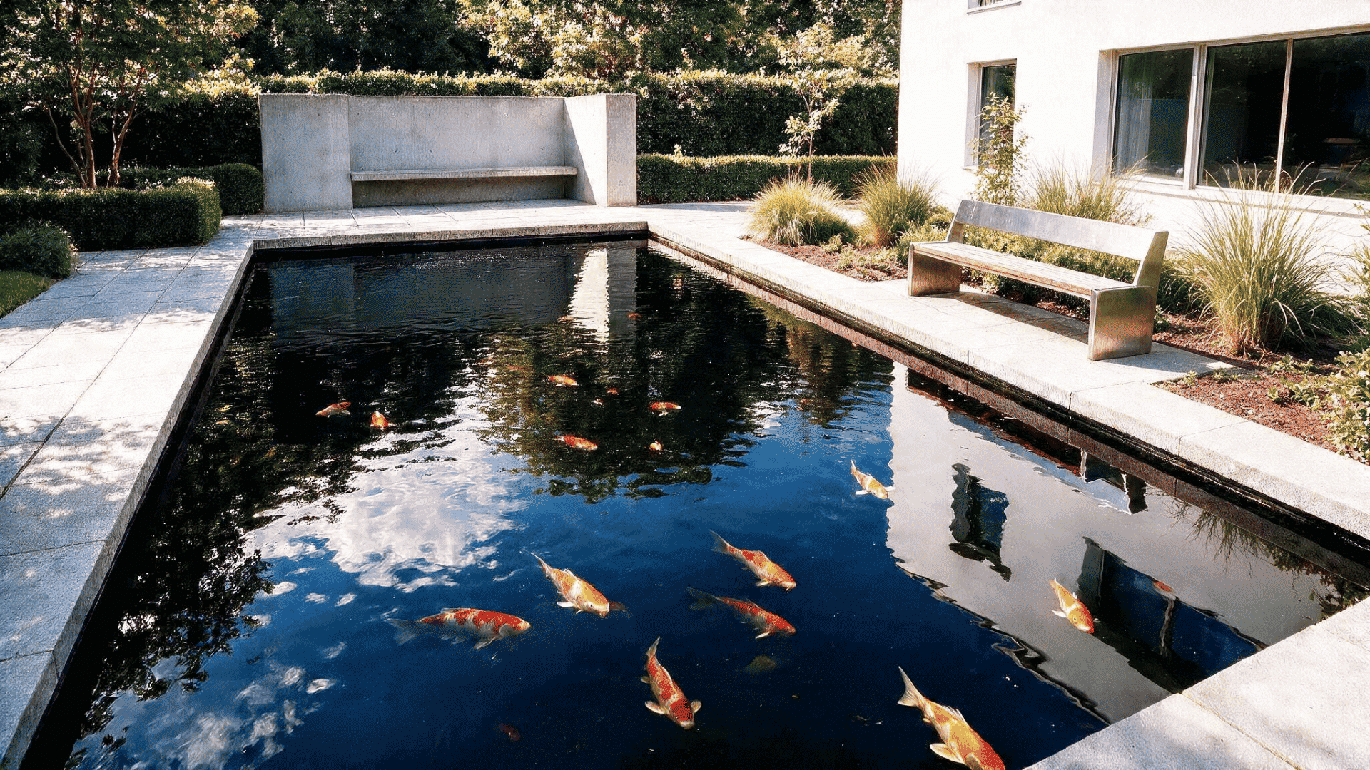 modern geometric koi pond with rectangular design stone edging outdoor bench and colorful koi fish swimming in clear water