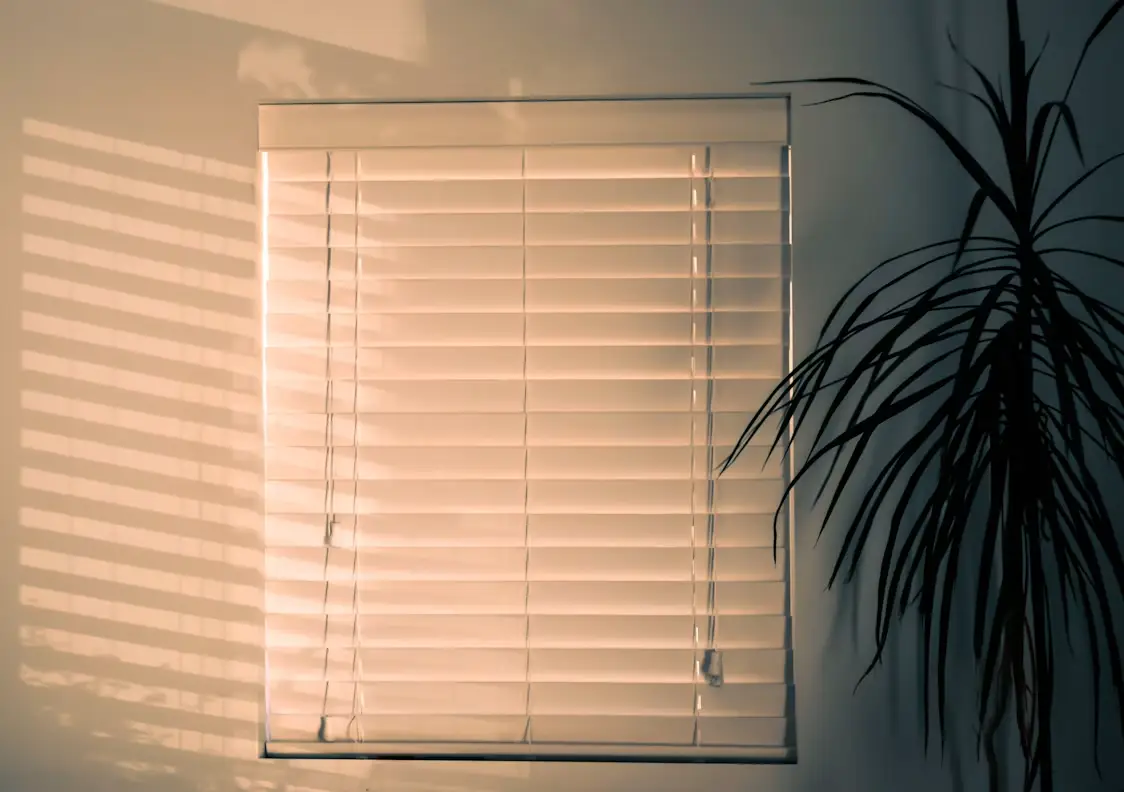 Closed window blinds casting shadows on wall with potted plant nearby in warm light