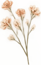 flowwer
