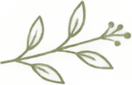 pathi