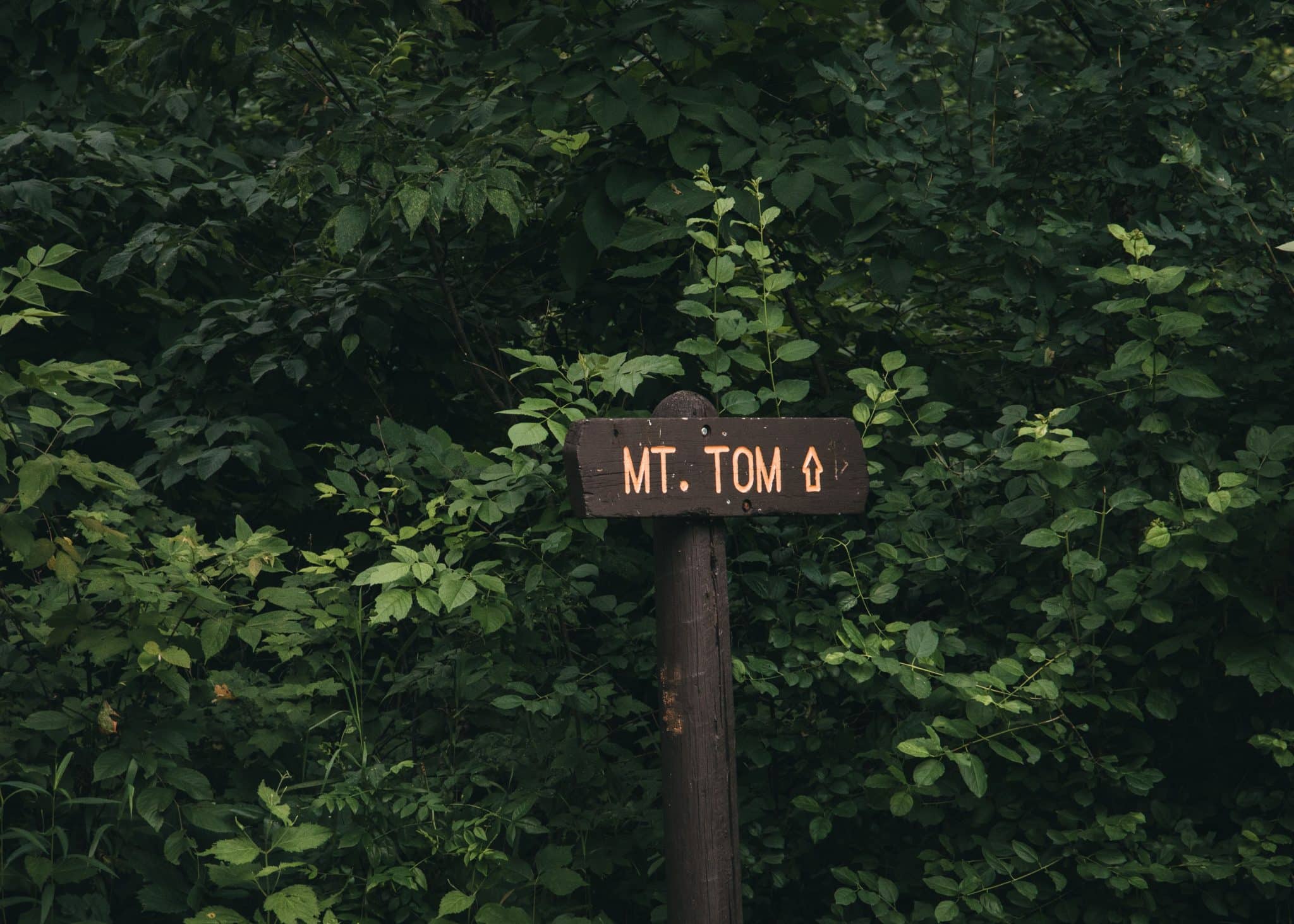 Key Landmarks That Simplify Your Directions to Anne Therese Lewis Center